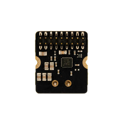 Audio Amp Module for Yukon (25W Mono Amp)