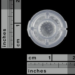 An image of Clear Plastic Knob