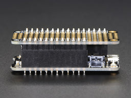 An image of Feather Header Kit - 12-pin and 16-pin Female Header Set