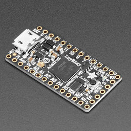 Adafruit ItsyBitsy M4 Express featuring ATSAMD51