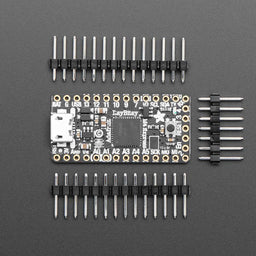 Adafruit ItsyBitsy M4 Express featuring ATSAMD51