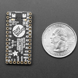 Adafruit ItsyBitsy M4 Express featuring ATSAMD51