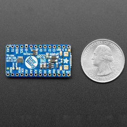 An image of Adafruit ItsyBitsy nRF52840 Express - Bluetooth LE