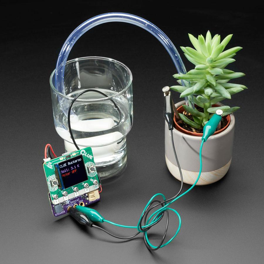 Adafruit Bonsai Buckaroo - micro:bit & CLUE Plant Care Helper - We can’t wait for spring to arrive, and we’re looking forward to caring for some plants!