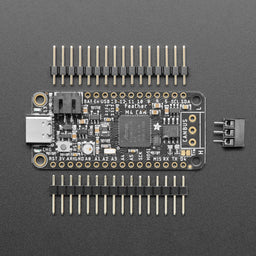 An image of Adafruit Feather M4 CAN Express with ATSAME51