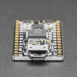 An image of Adafruit ItsyBitsy RP2040