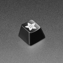 An image of Adafruit Etched R4 Keycap for MX Compatible Switches