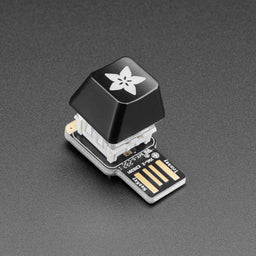 An image of Adafruit Etched R4 Keycap for MX Compatible Switches