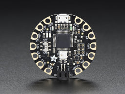 An image of Adafruit FLORA - Wearable electronic platform: Arduino-compatible
