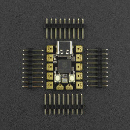 An image of Beetle RP2040 Mini Development Board