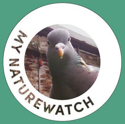 An image of My Naturewatch Standard Camera