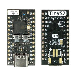 An image of TinyS2