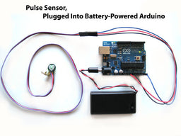 An image of Pulse Sensor Amped