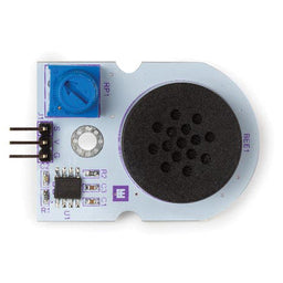 An image of Digital Speaker Module