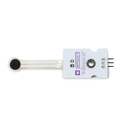 FSR (Force Sensing Resistor) Sensor