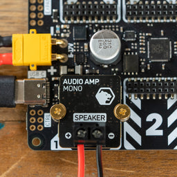 An image of Audio Amp Module for Yukon (25W Mono Amp)